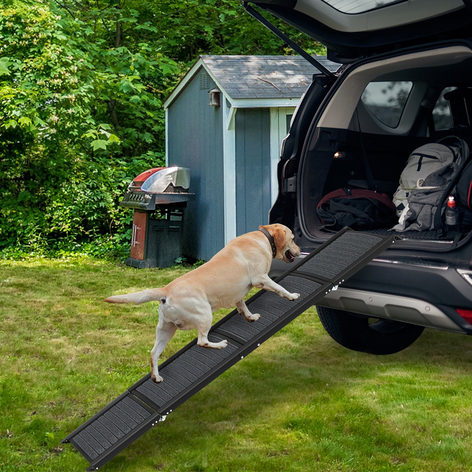 Rampe pliable de voiture pour chien, chat