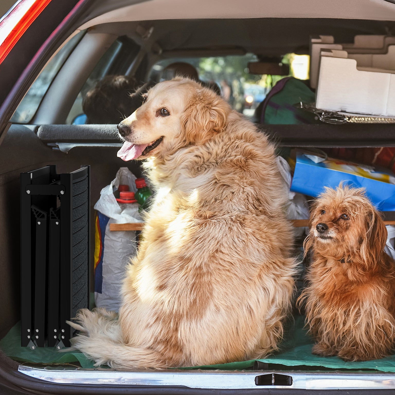 Rampe pliable de voiture pour chien, chat