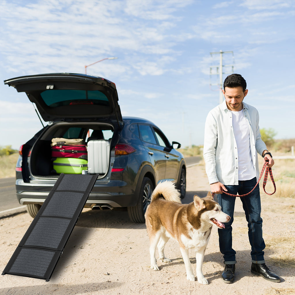 Rampe pliable de voiture pour chien, chat