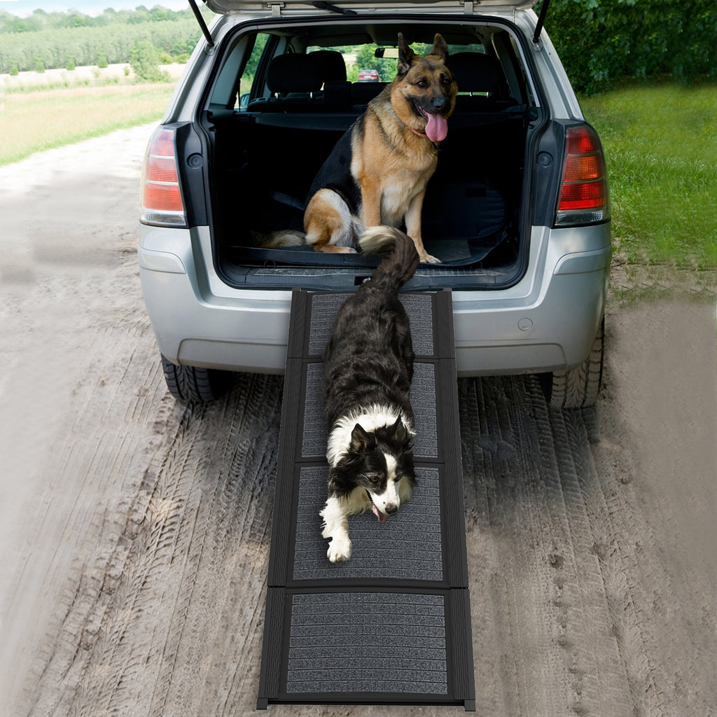 Rampe pliable de voiture pour chien, chat