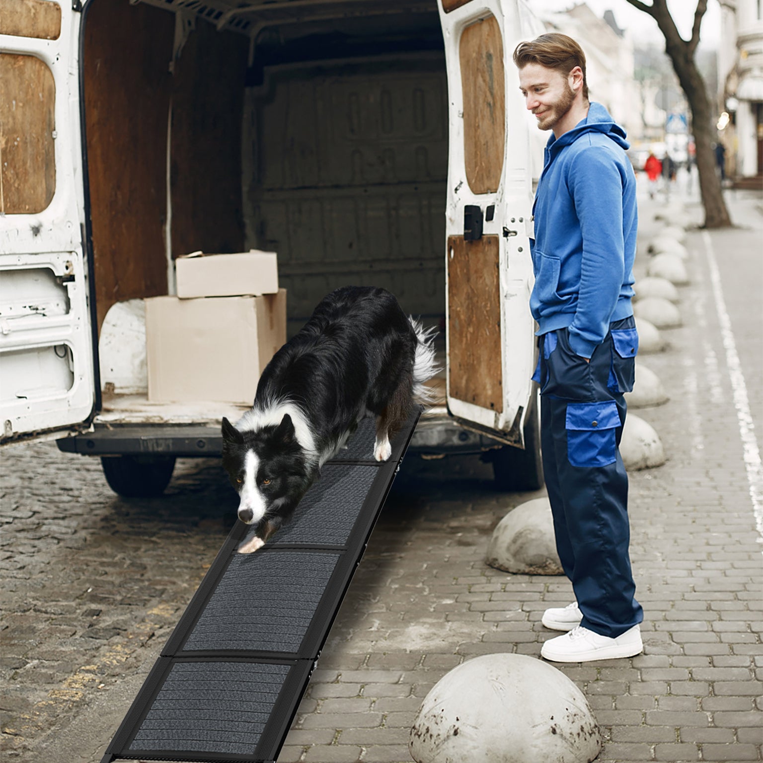 Rampe pliable de voiture pour chien, chat