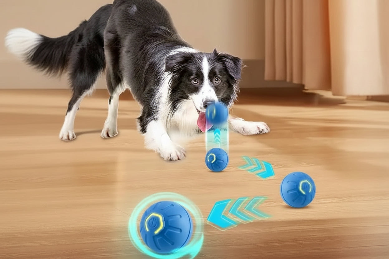 Balle Automatique pour Chien et Chat – Jouet Électronique Automatique USB