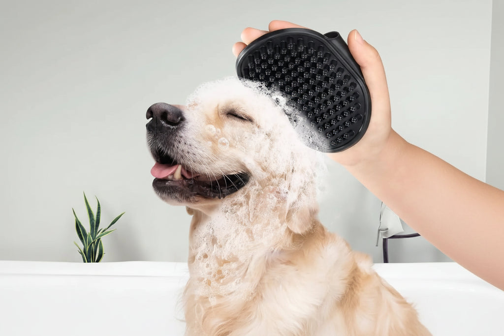 Kit 3 brosses de toilettage professionnelles pour animaux de compagnie, pour brossage, Massage, bain, outil de démêlage, chiens et chats