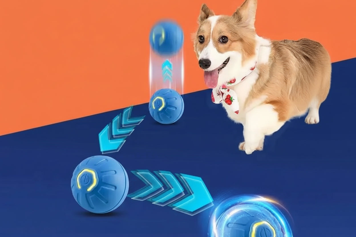 Balle Automatique pour Chien et Chat – Jouet Électronique Automatique USB
