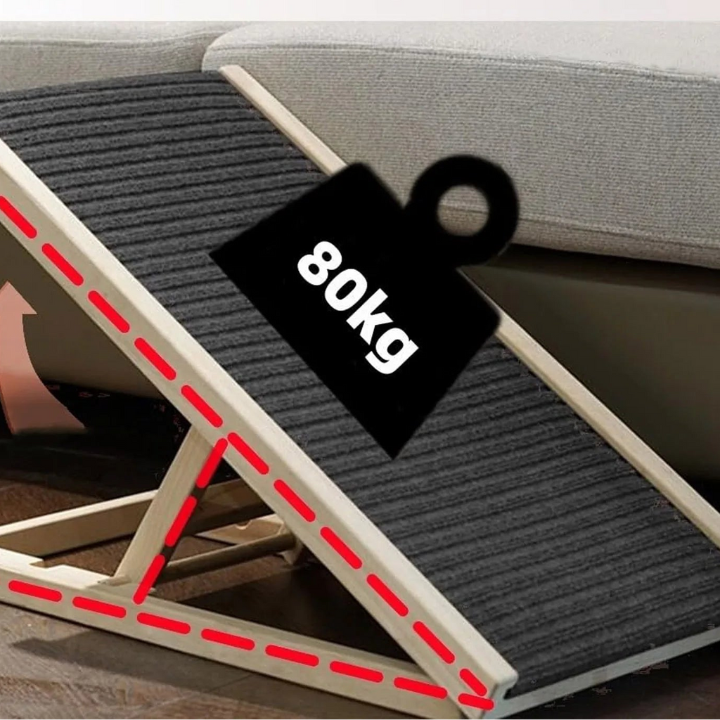 Rampe pour chat, chien sénior - Accès facile au lit et au canapé