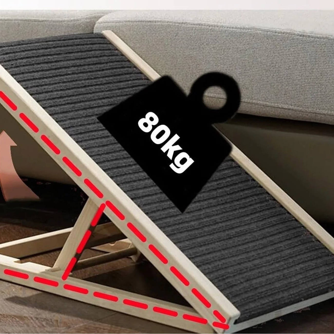 Rampe pour chat, chien sénior - Accès facile au lit et au canapé