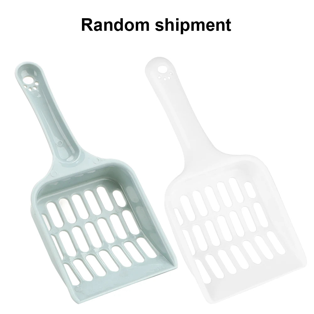 S416c3021c91447968c2cddedceca8fads