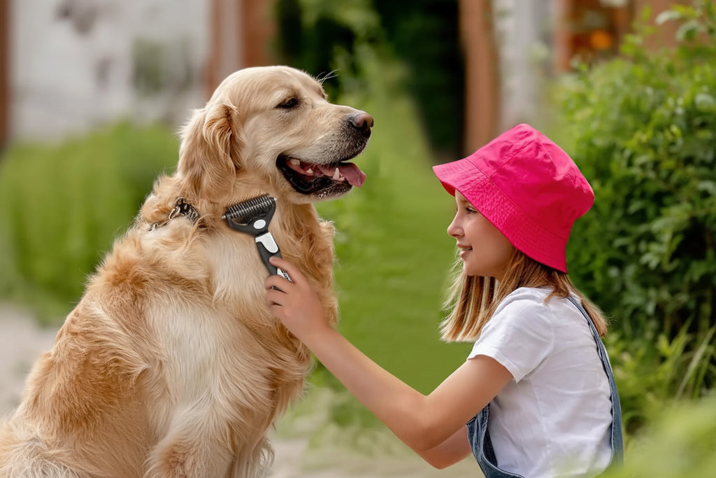 Kit 3 brosses de toilettage professionnelles pour animaux de compagnie, pour brossage, Massage, bain, outil de démêlage, chiens et chats