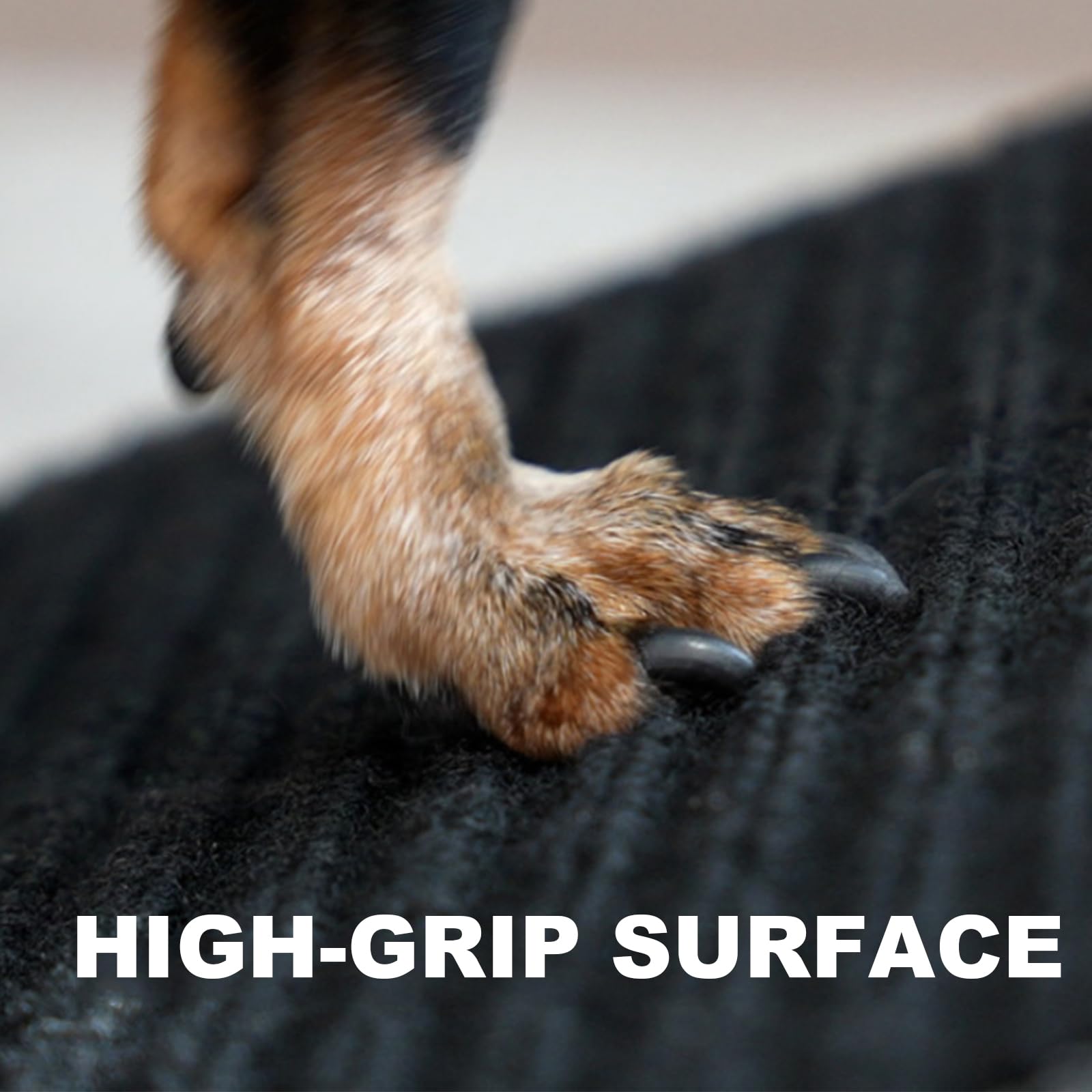 Rampe et tabouret, 2 en 1 pour chien, chat adapté pour monté facilement vers le canapé, lit