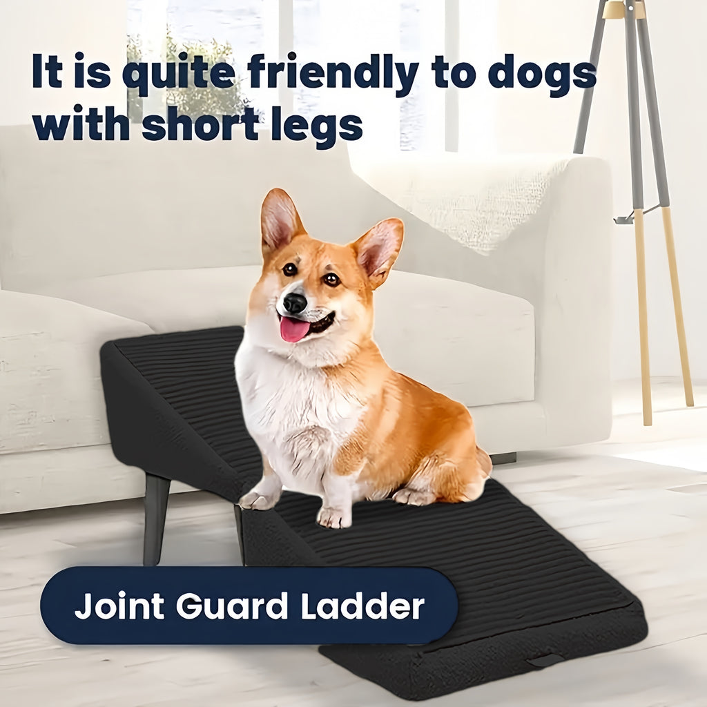 Rampe et tabouret, 2 en 1 pour chien, chat adapté pour monté facilement vers le canapé, lit