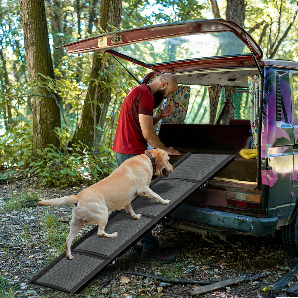 Rampe pliable de voiture pour chien, chat